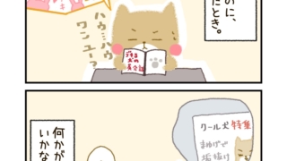 Thumbnail of post image 000